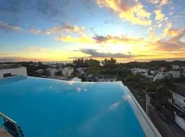 Luxury Penthouse with Rooftop Infinity Pool