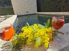 La maison de Manon, 4-5personnes, 75m2, centre village avec piscine privée