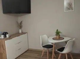 Gołuchów Noclegi pod Lipami