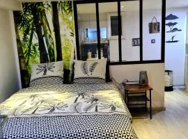 Chambre cosy meublée RER D 200m