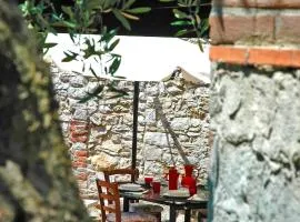 Nonna Afra house on Lucca hills with great view - vetrianello