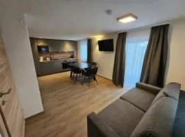 Cozy, new FEWO with 4 beds close to lifts