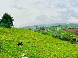 Away From Home - 6 - Home Stay Ooty, Entire 3BHK Villa