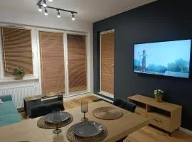 MODERN APARTAMENT Walendów