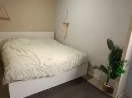Muy bien
