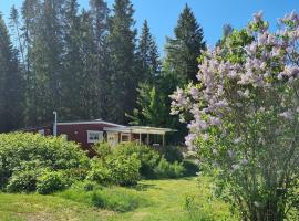 Pärlan Blåbäret, vila v destinaci Fagersta
