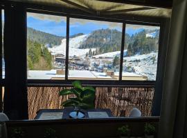Appartement Vue sur les pistes de ski et en bas de la station, khách sạn ở La Bresse