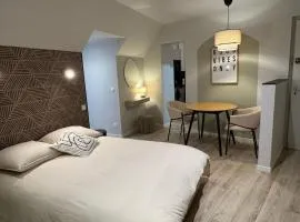 Magnifique appartement rénové Place du Martroi