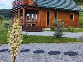 DOMKI KOLOROWE