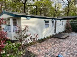 Vintage Forest Chalet