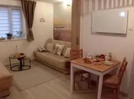 Darłówko Kładka przyrodnicza 300m plaża