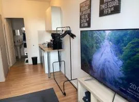 Studio Hôtel Villeurbanne Charpenne 3