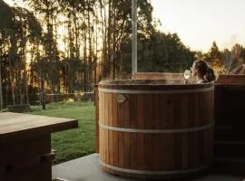 The Shed Retreat