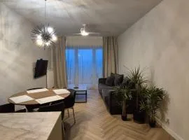 Apartamenty Centrum - Moniuszki 9d 2 miejsca w garażu