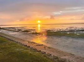 Ferienwohnung Zwergpinscher