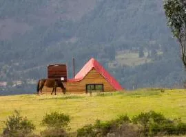 la cima de los frailejones