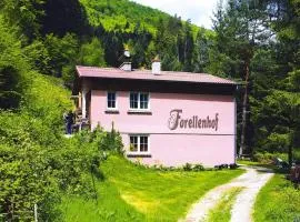 Apartment in Alsace with Private Terrace