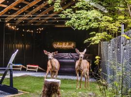 Log Cabin with King Bed and Hot Tub, hotel in Ashford