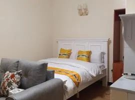 Executive Studios - Maclite Homes