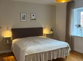 Vejle Liv