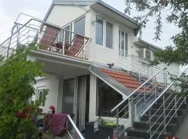 Apartman Dane