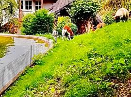 Ferienwohnung Dörnberg erleben mit Tiere bei Winterberg, hotel a Bestwig