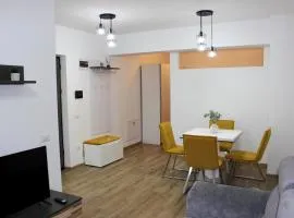 Cozy One-Bedroom Apartments Suceava