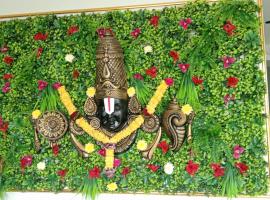 PJ Grand, hotell sihtkohas Vizianagaram