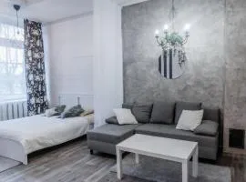 Studio type apartment in Ķegums