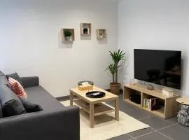 Joli duplex centre Seclin