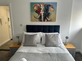 Cosy Executive City Apartment 3