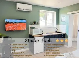 Studio Ekoh, centre de Dax