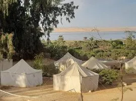 Tunis Camp Fayoum