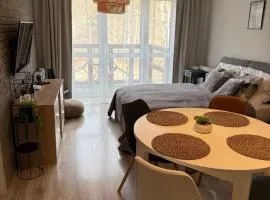 Piękne miejsca przy deptaku Mountain Aparts