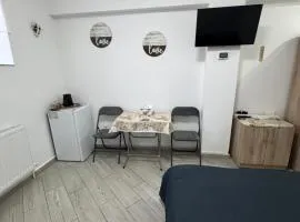 Viorelelor Studio