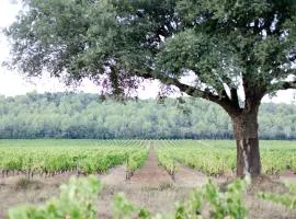 Domaine De Sigalous