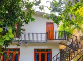 Tedro home stay