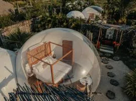 Green Land Bubble Glamping By Mint