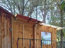 Roca de Guía San José del Pacífico
