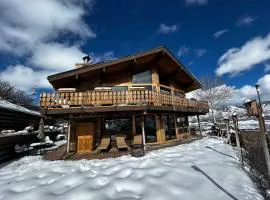 Aspen Chalet 976