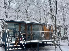 Nina's winery forest house in Kiketi, vila v mestu Tbilisi City