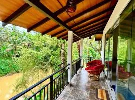 Rainforest River Bay