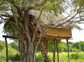Habarana Tree House Area