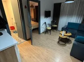 Bakuriani art apart hotel 203