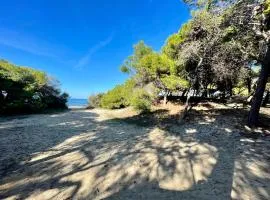 Gallipoli Tra Mare e Pineta