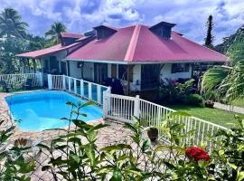 Grande villa avec piscine