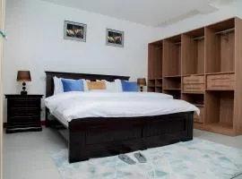 Brand New Condo Apartment