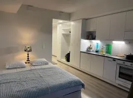 Modern furnished studio