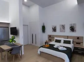 Apartamento Río Turia Pingüino