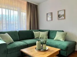 Ferienwohnung Wolkenfrei in Inzell mit Pool und Sauna
